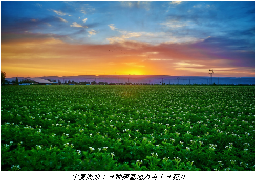 好滋味背后：肯德基溯源探访，好食材成就好滋味